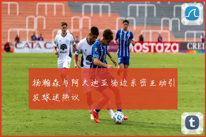 杨瀚森与阿夫迪亚场边亲密互动引发球迷热议