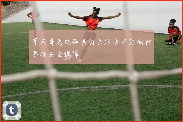墨西哥总统强调打击贩毒不影响世界杯安全保障
